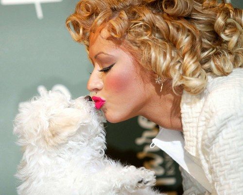 Christina Aguilera kissing her Bichon Frise.