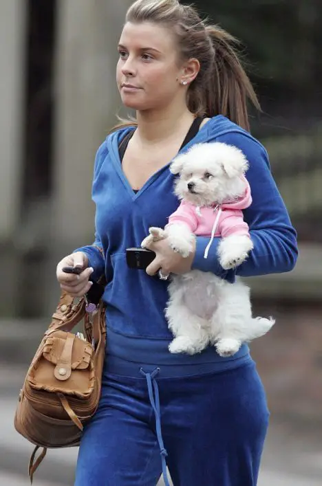 Coleen Rooney in her gym outfit walking in the street while carrying he Bichon frise