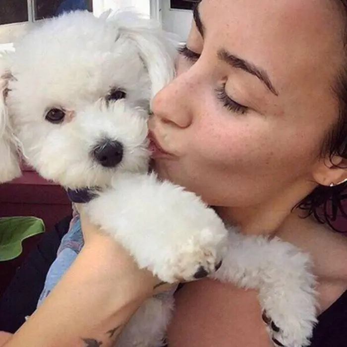 Demi Lovato kissing her Bichon Frise