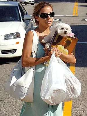 Eva Longoria crossing the street while holding her Bichon Frise.
