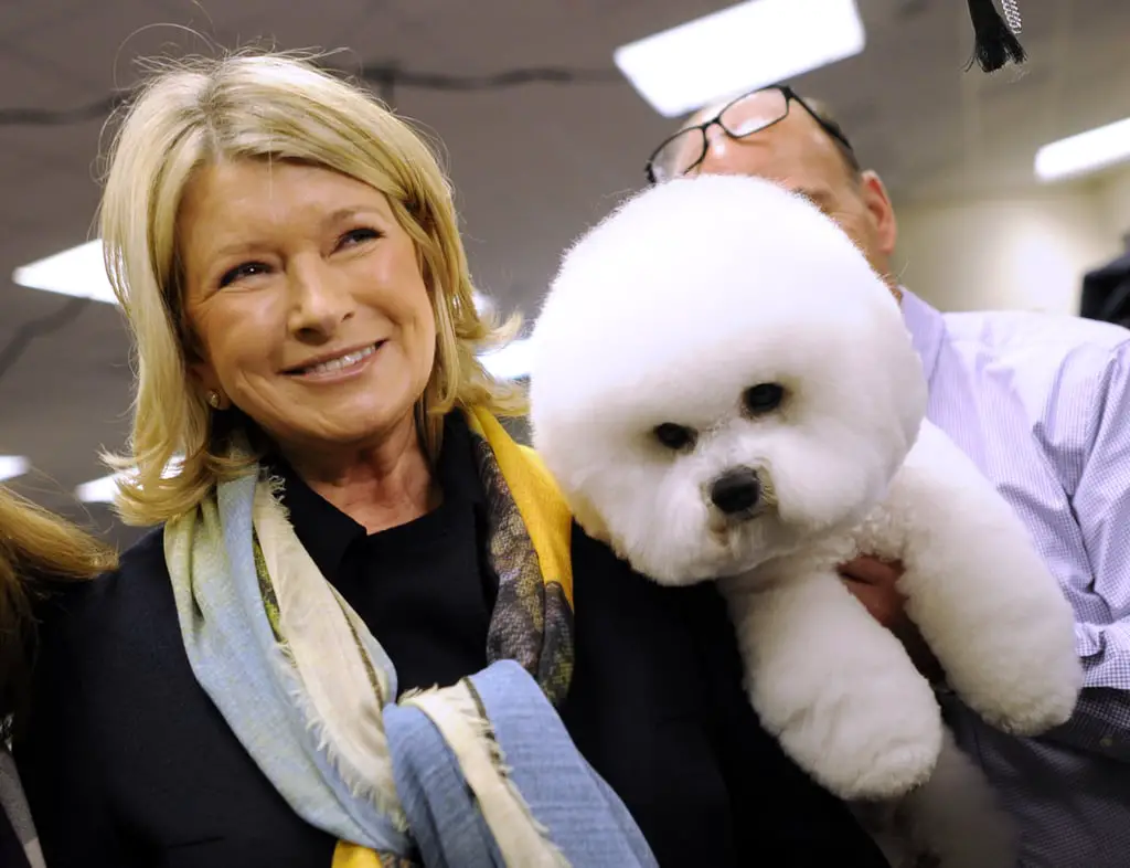 Martha Stewart smiling while carrying her Bichon Frise