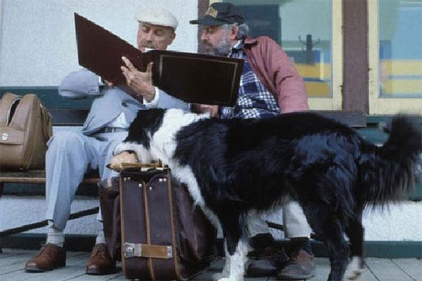 A Hecks Way Home with a Border Collie standing in front of tow men sitting on the bench