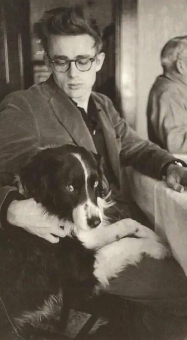 an old photo of James Dean sitting on the chair while petting his Border Collie standing up leaning on his lap