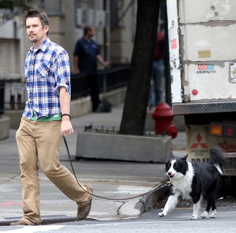 Ethan Hawke walking in the street with his Border Collie