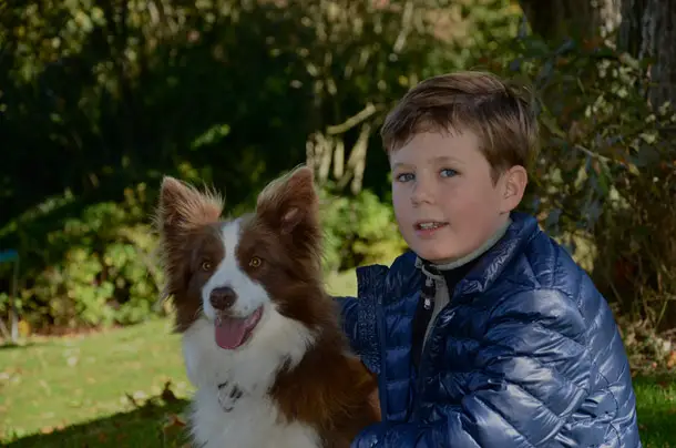 Prince Christian sitting in the garden next to his Border Collie