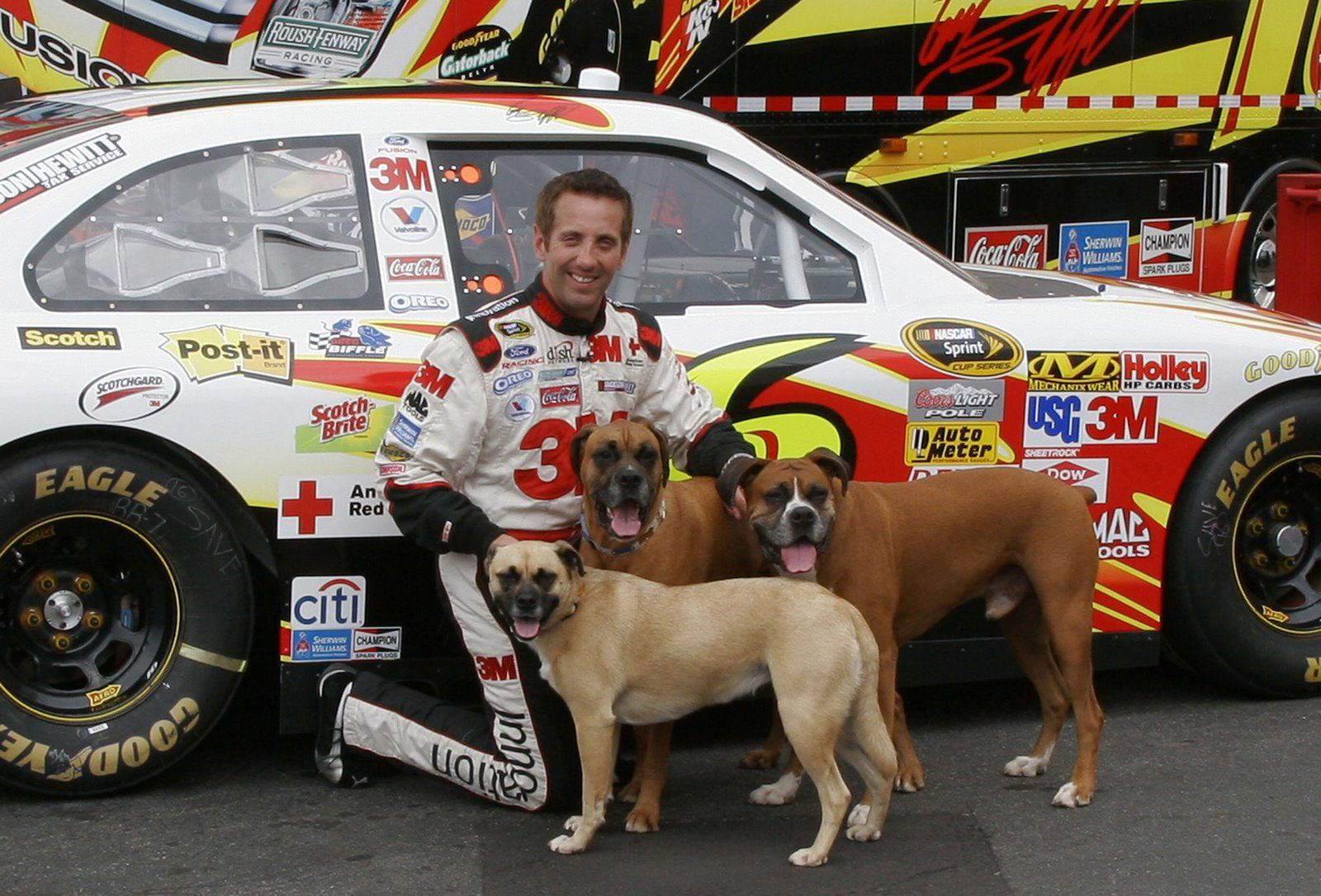 Greg Biffle kneeling on the floor with his three Boxer Dogs standing next to him in front of his sports car
