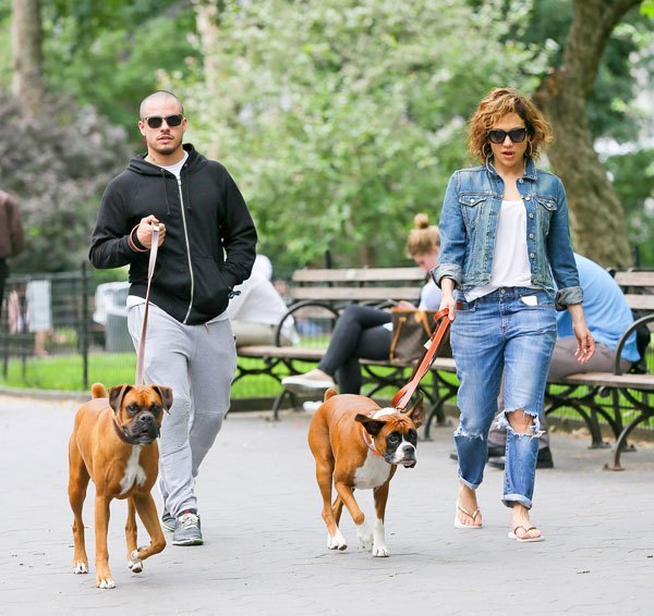 Jennifer Lopez walking at the park with a guy and their Boxer Dogs on a leash