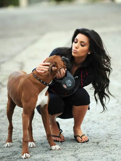 Kim Kardashian sitting in the middle of the street and petting her Boxer Dog