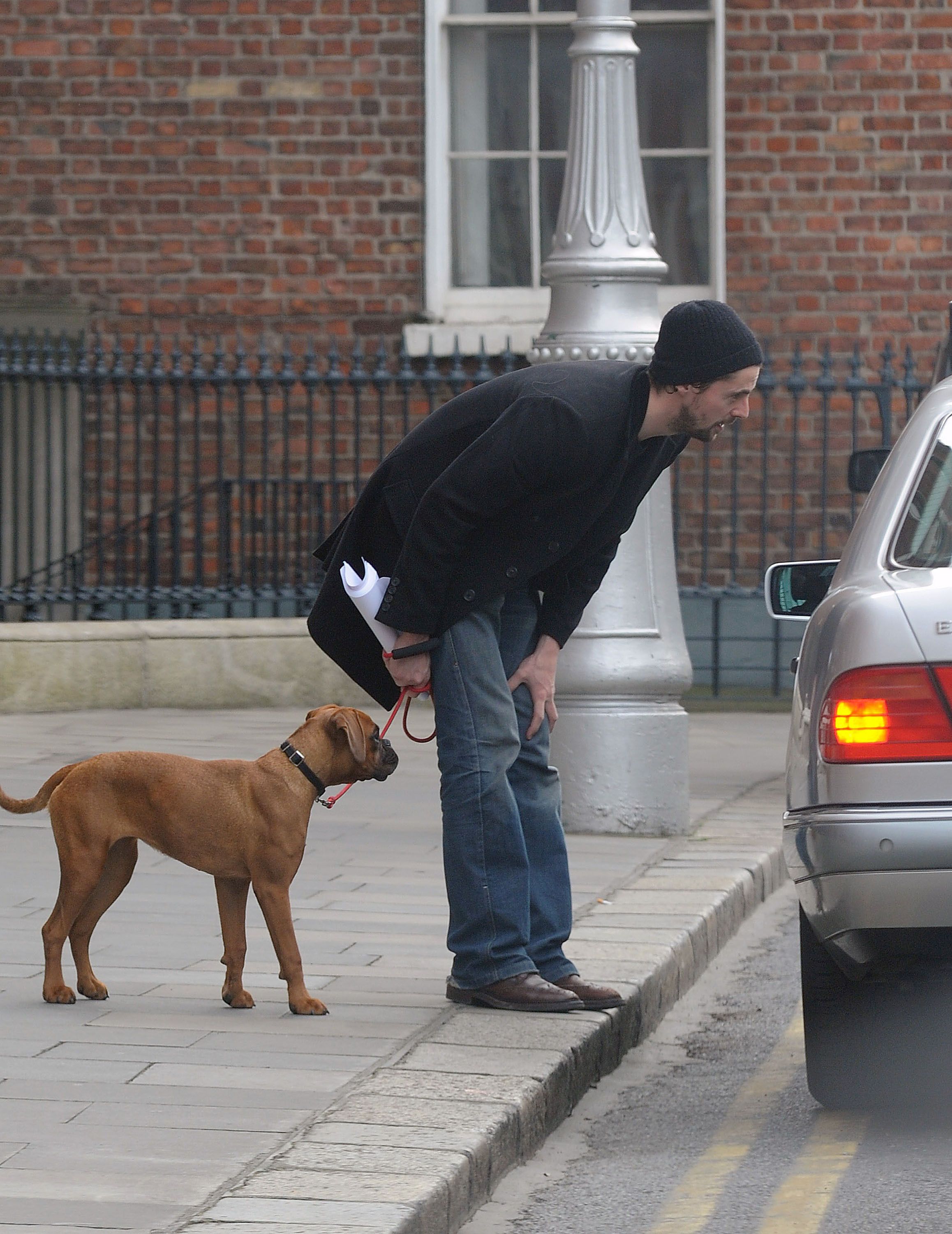 Matthew Goode bowing while talking to the person inside the car with his Boxer dog standing behind him