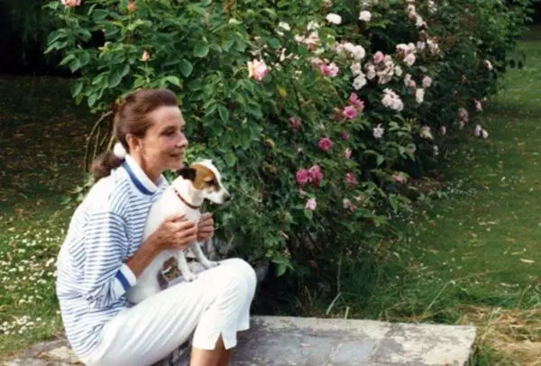 Audrey Hepburn sitting in the garden with a Jack Russell in her lap