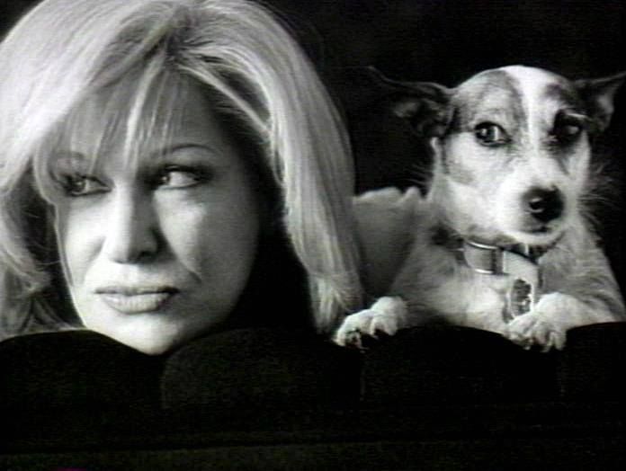black and white photo of Bette Midler with her Jack Russell