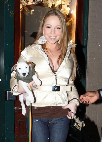 Mariah Carey carrying her Jack Russell on her side