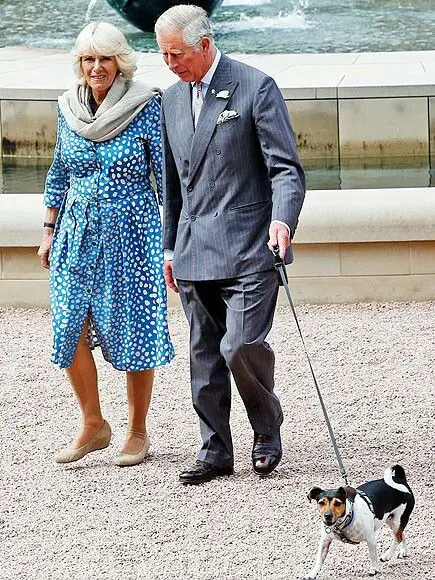 Prince Charles walking with his Jack Russell