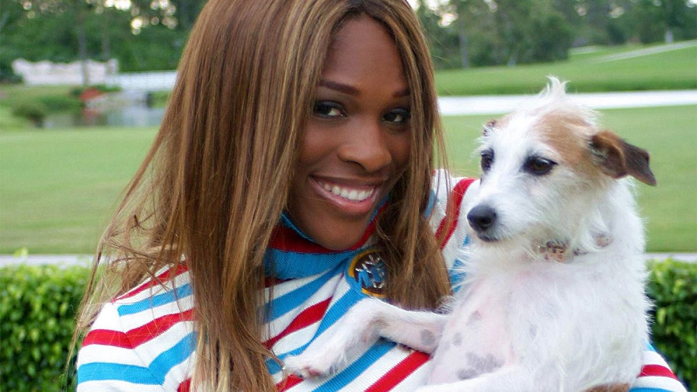 Serena Williams holding her Jack Russell