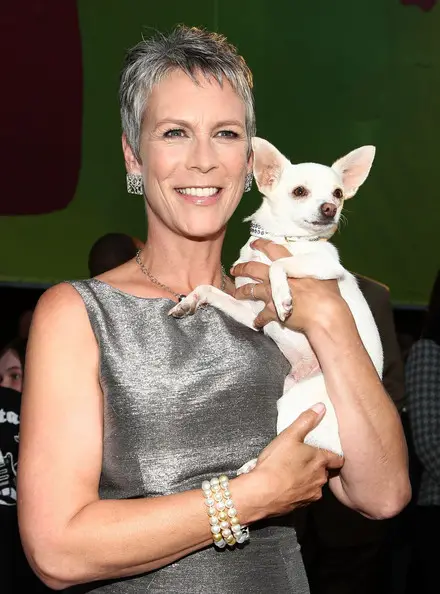 Jamie Lee Curtis holding her white Chihuahua