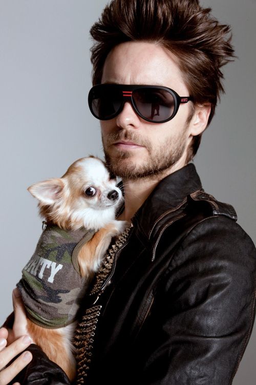 Jared Leto holding his Chihuahua