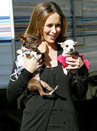 Jennifer Love Hewitt holding her two Chihuahuas