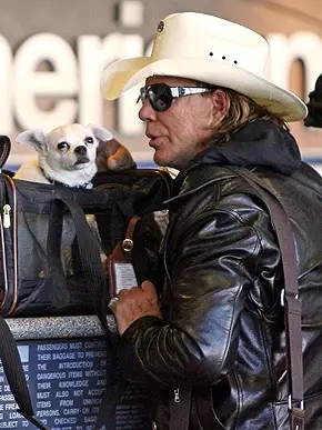 Mickey Rourke petting his Chihuahua in the bag