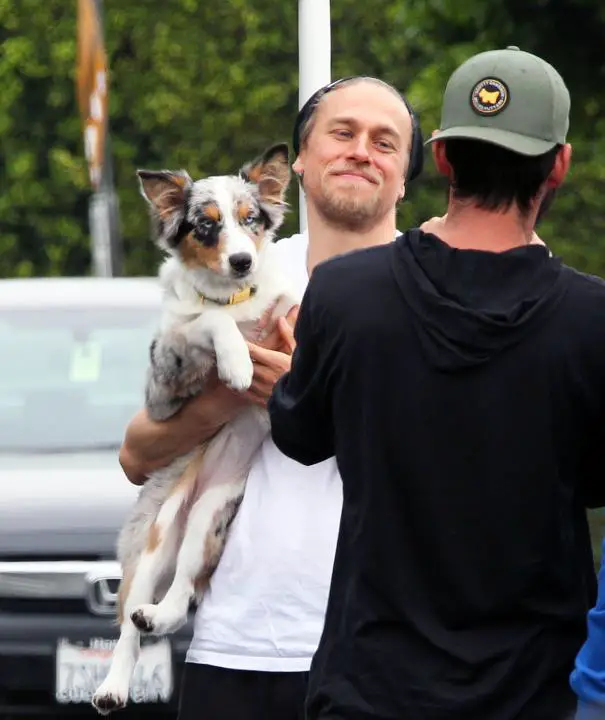 Charlie Hunnam carrying his Corgi while talking to a man