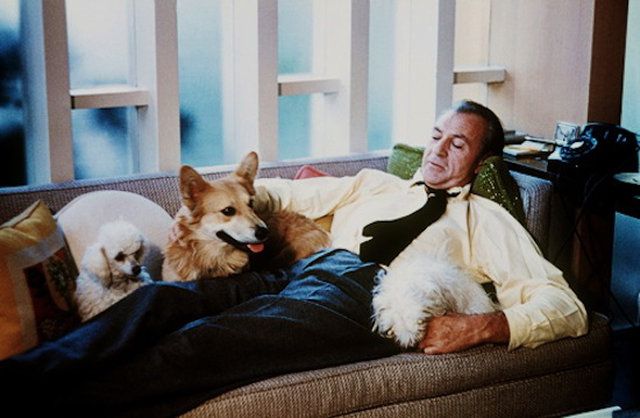 Gary Cooper resting on the couch with his Corgi
