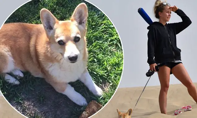 Kendra Wilkinson in the sand with her Corgi