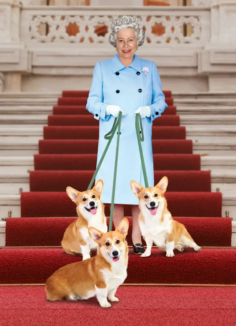 Queen Elizabeth II with her three Corgis