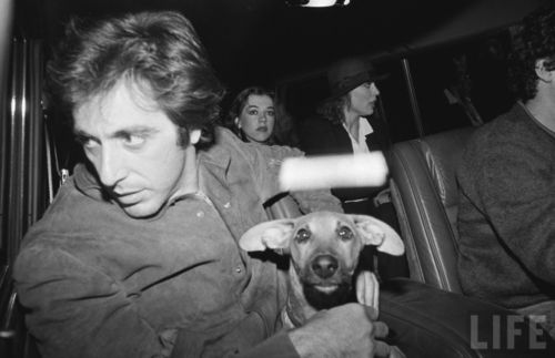Al Pacino with his dachshund dog beside him