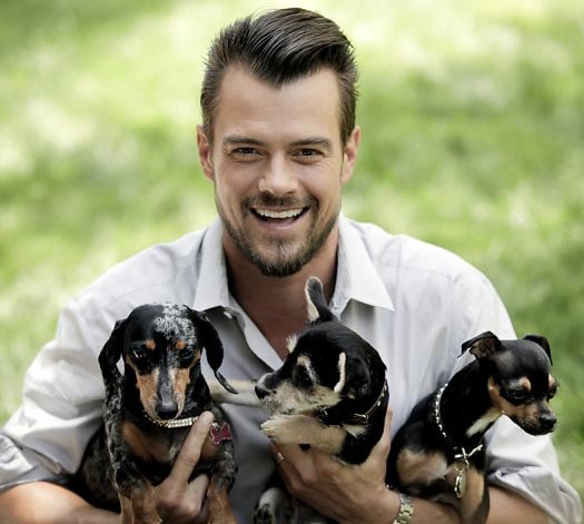 Josh Duhamel holding his 3 dachshund dogs