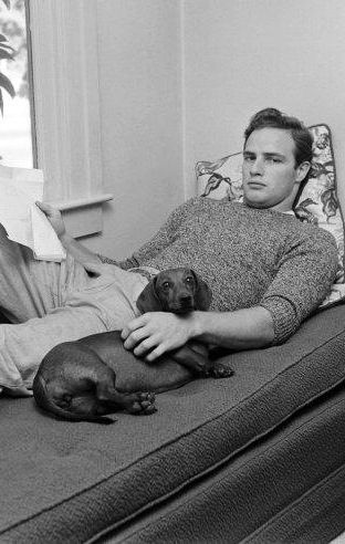 Marlon Brando beside his dachshund dog