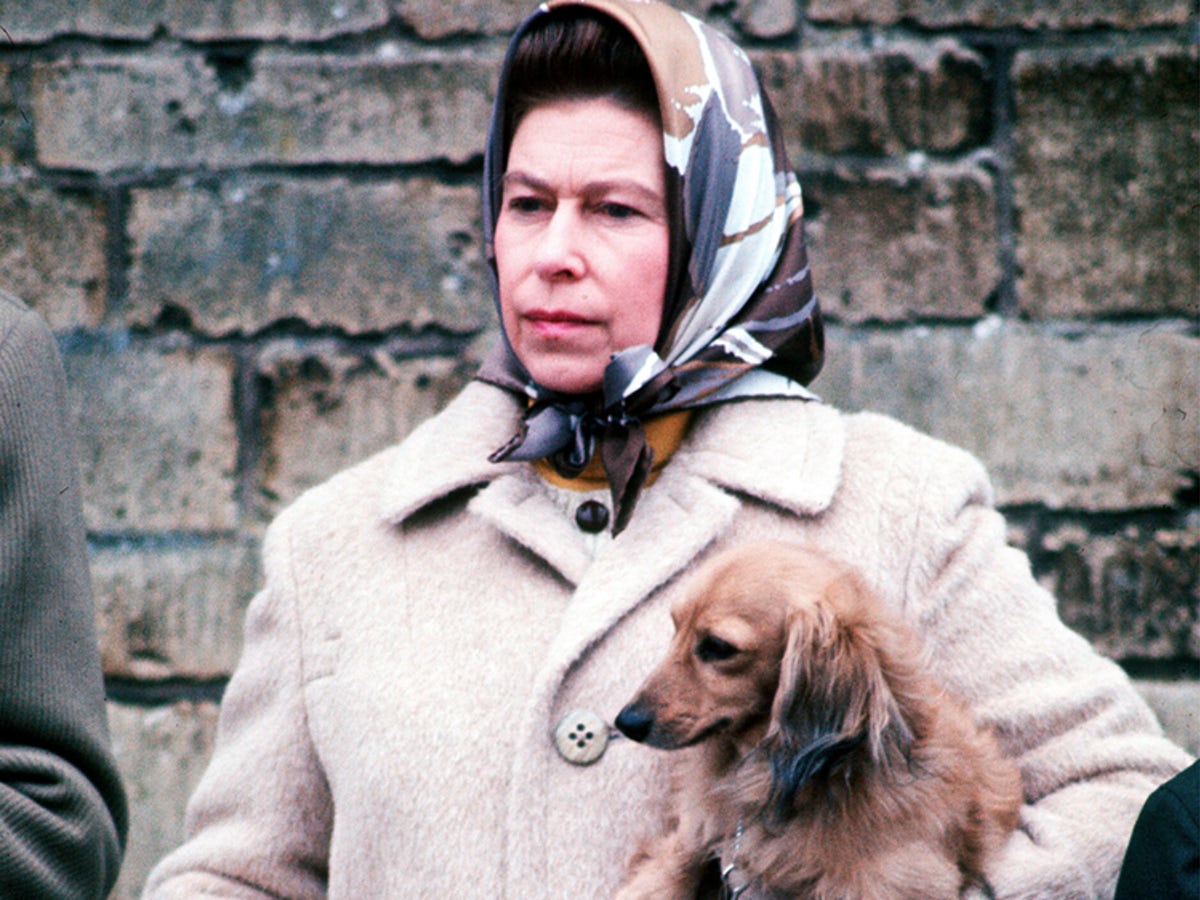  Queen Elizabeth with her dachshund dog