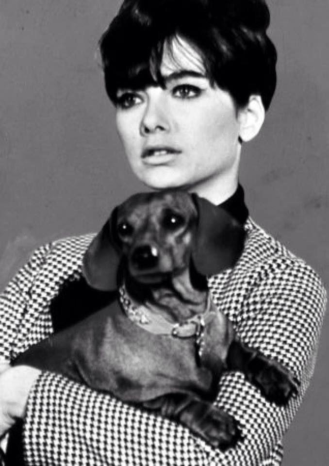 lack and white photo of Suzanne Pleshette carrying her dachshund dog