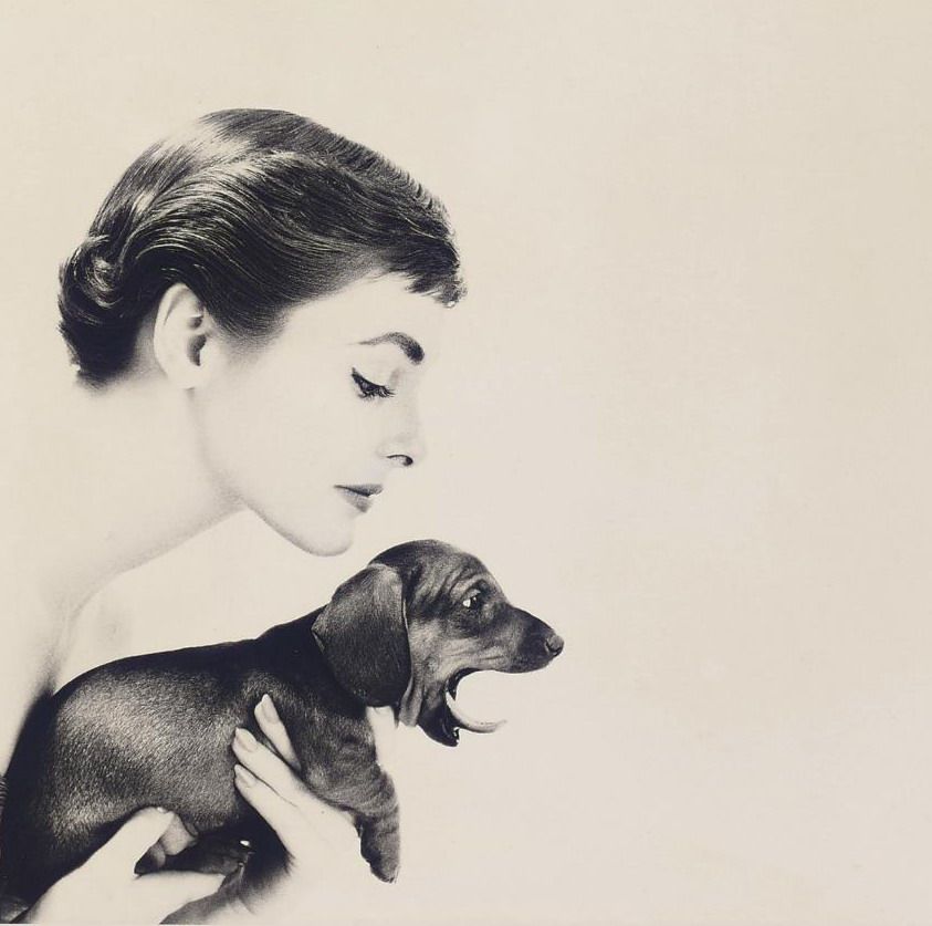 Audrey Hepburn holding her Dachshund