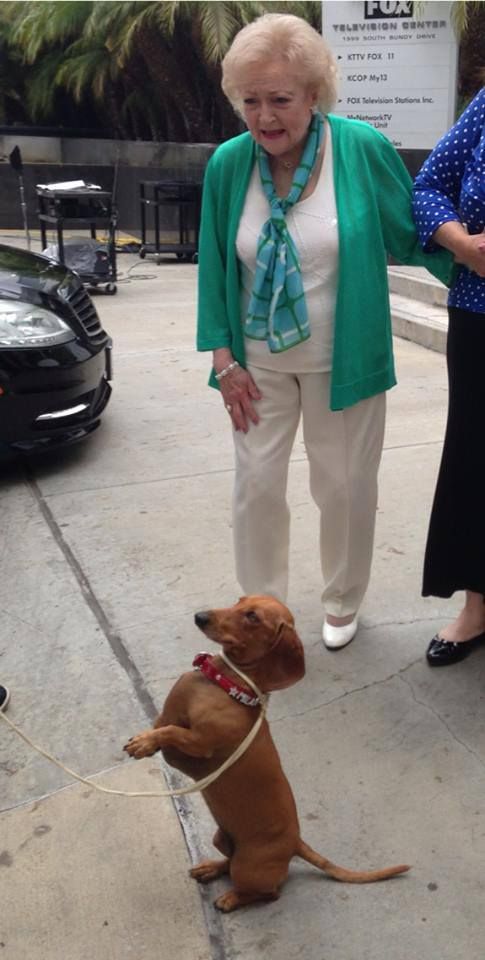 Betty White looking at her Dachshund doing a sitting pretty trick