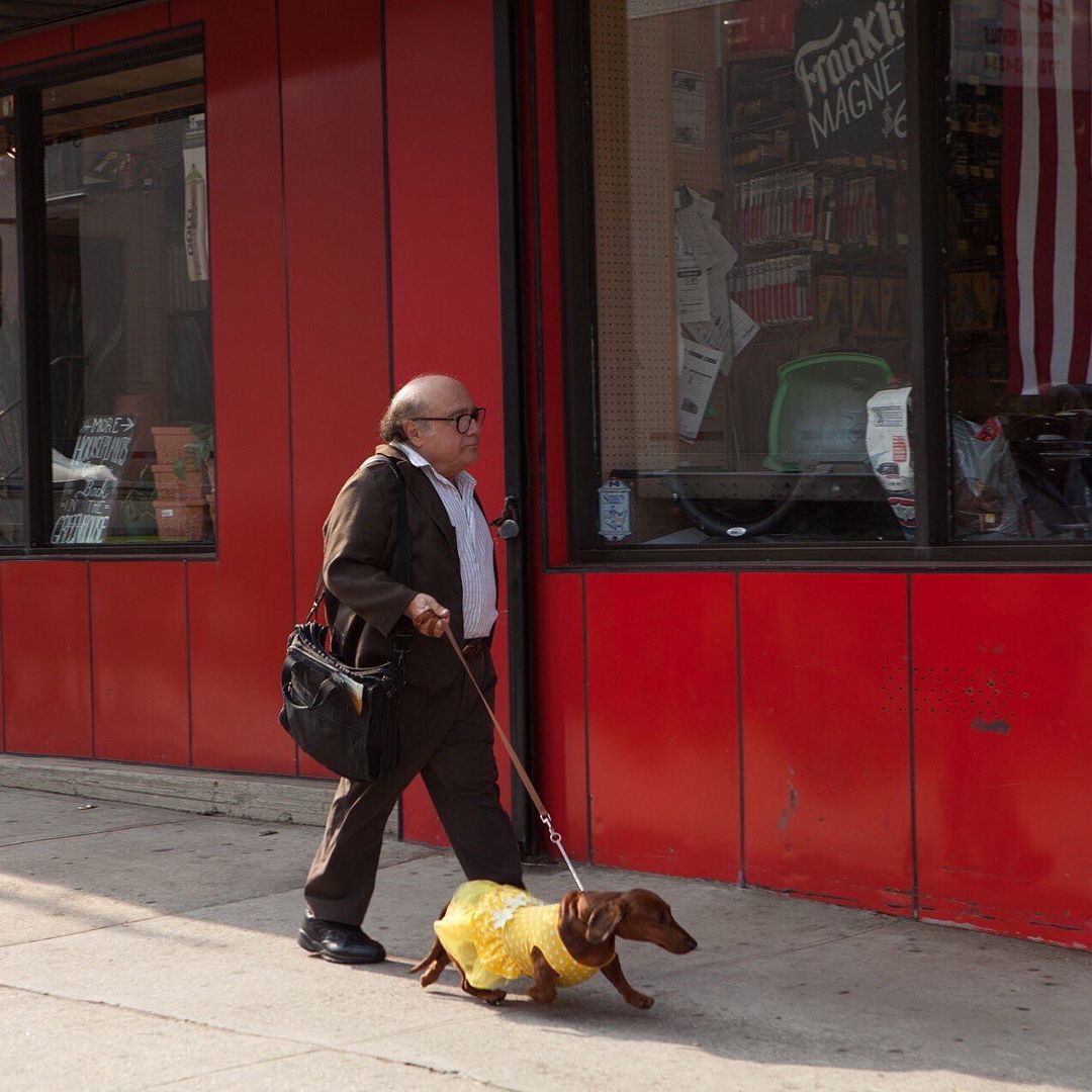 Danny Davito walking in the street with his Dachshund in yellow dress