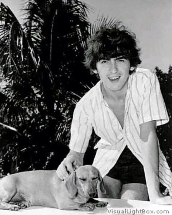 George Harrison leaning against the table while petting his Dachshund lying on top of it