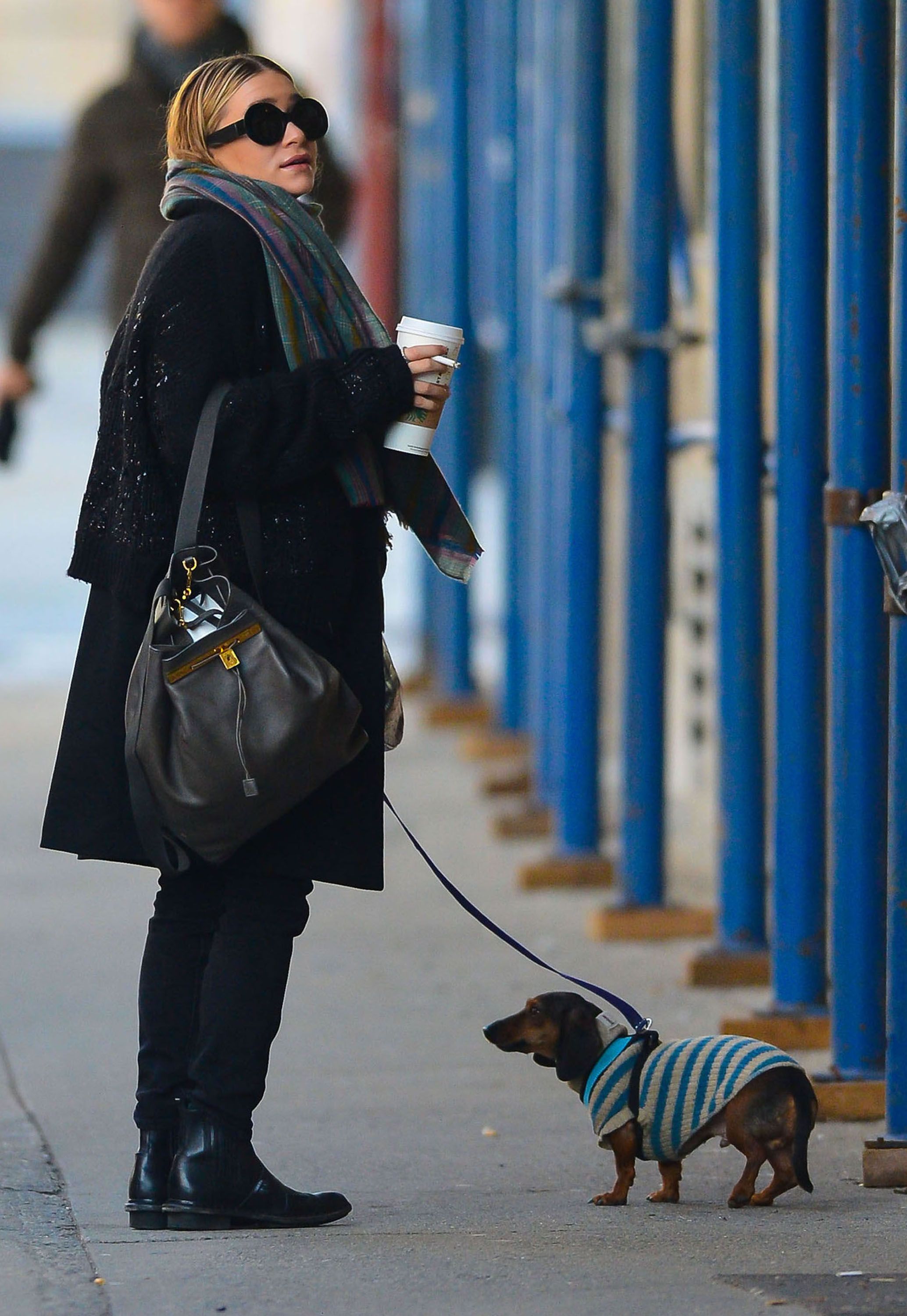 Mary-Kate Olsen walking her Dachshund in the street