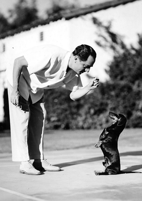 William Powell teaching his Dachshund to sit pretty