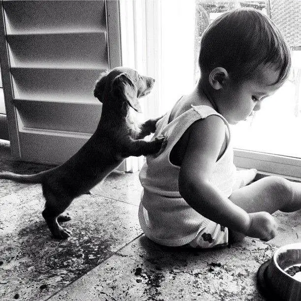 Dachshund puppy standing up leaning against the back of the kid sitting on the floor facing the front door