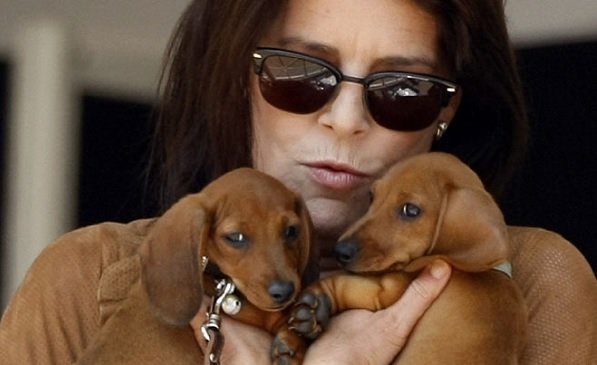 queen elizabeth dachshund