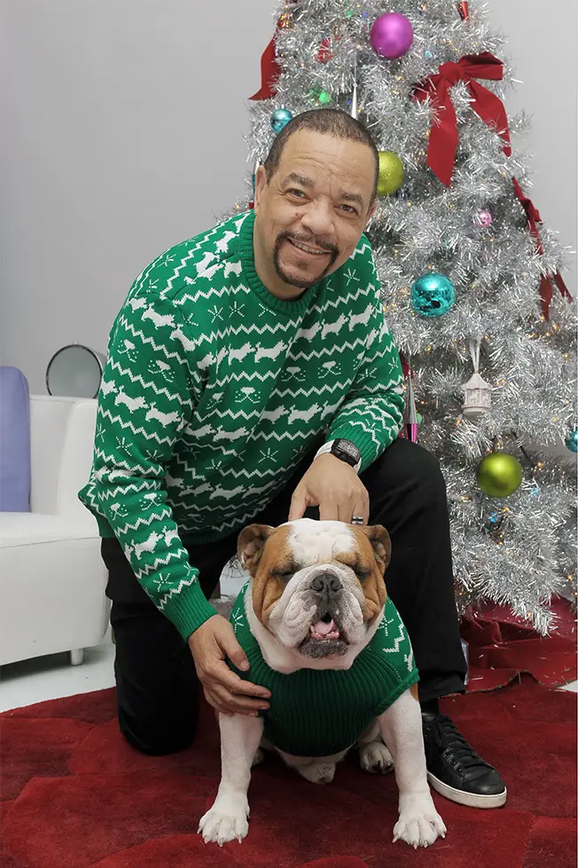 Ice-T with its one knee on the floor above his English Bulldog sitting on the floor in their matching Christmas outfit with a christmas tree behind them