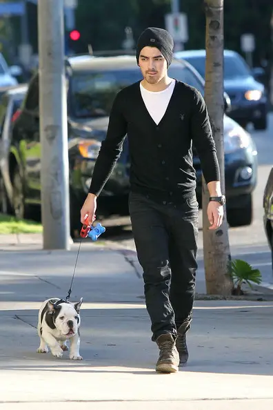 Joe Jonas walking in the street with his English Bulldog puppy