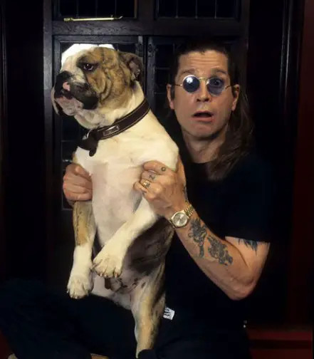 Ozzy Osbourne holding up his English Bulldog with his shock expression