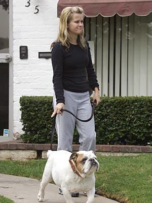 Reese Witherspoon taking her English Bulldog for a walk in the street
