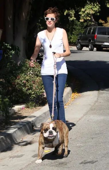 Samantha Ronson walking her English Bulldog in the street on the leash