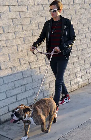 Samantha Ronson walking with her English Bulldog