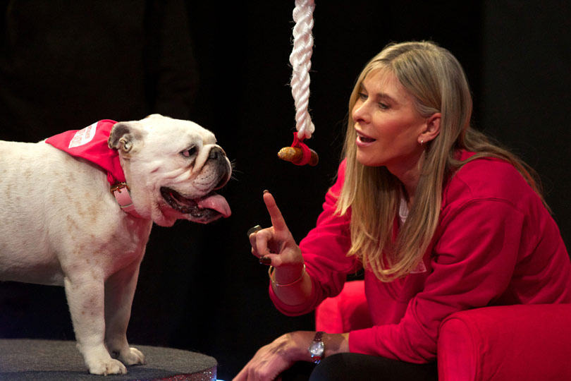 Sharron Davies talking to her English Bulldog