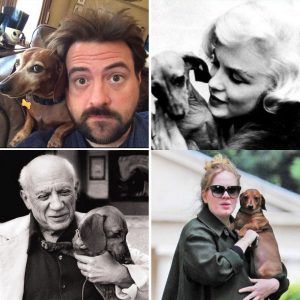33 Celebrities Who Own Dachshunds