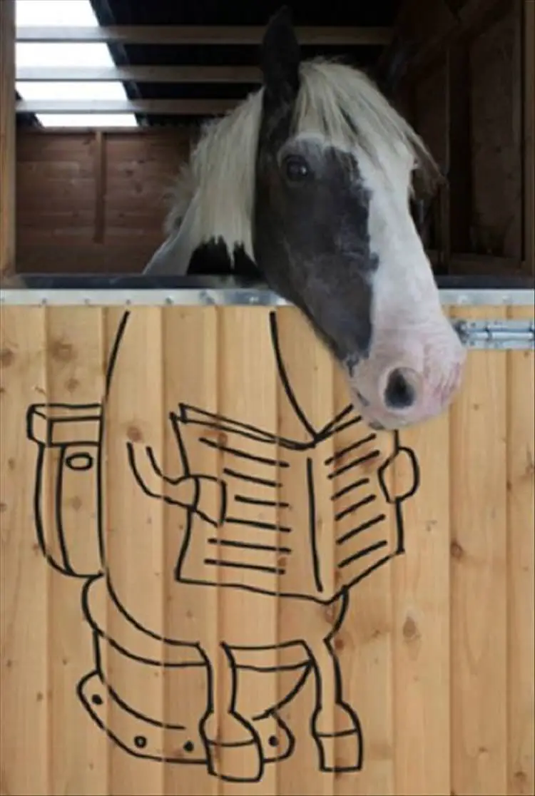horse behind a funny fence with body of a horse sitting on a toilet drawing