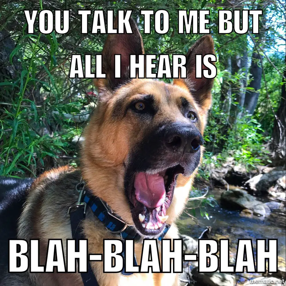 German Shepherd with its mouth wide open photo with a text 