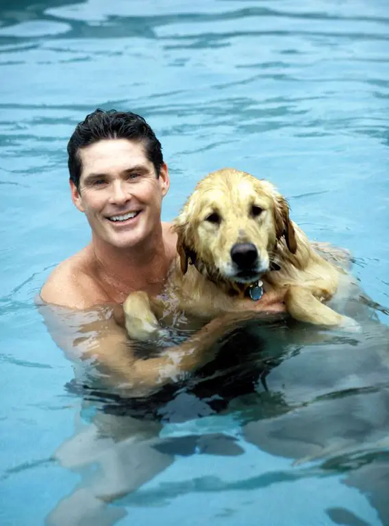 David Hasselhoff in the pool with his Golden Retriever